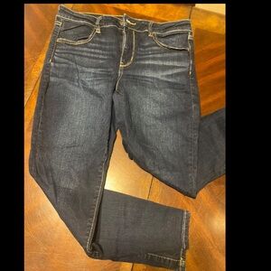 American Eagle Outfitters Dark Indigo Skinny Jeans
